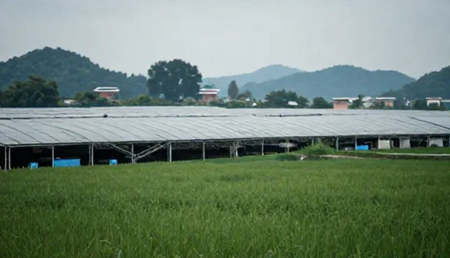 智能合约开发中的选型关注点分析